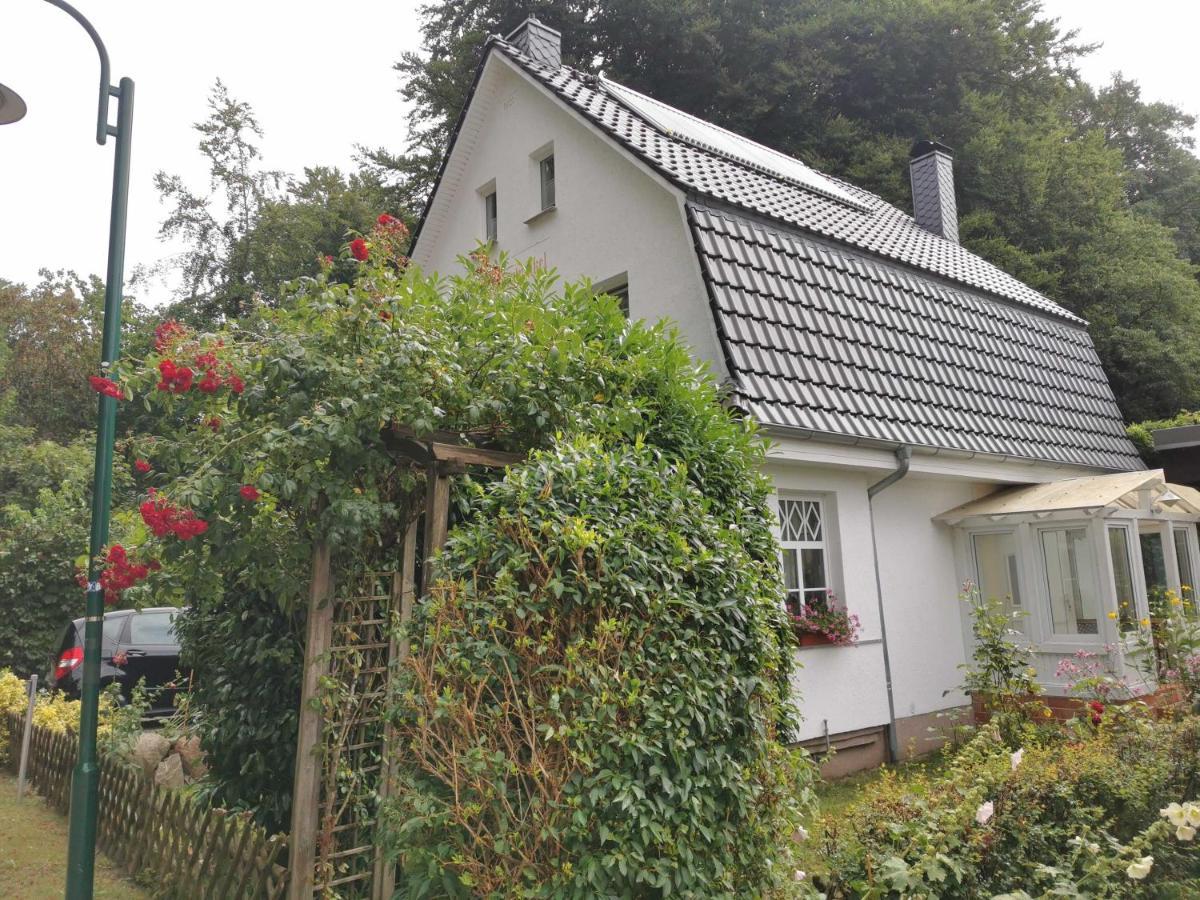 Apartamento Rügen Fewo 91 Buchenwinkel Bergen Auf Rugen Exterior foto